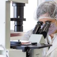 La Academia Nacional de Ciencias alertó por la “fuga de cerebros” y cuestionó las políticas científicas del Gobierno